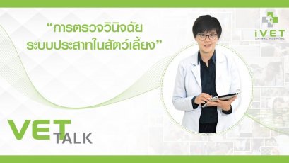 การตรวจวินิจฉัยระบบประสาทในสัตว์เลี้ยง